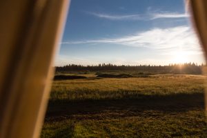 GLAMPING TENT 