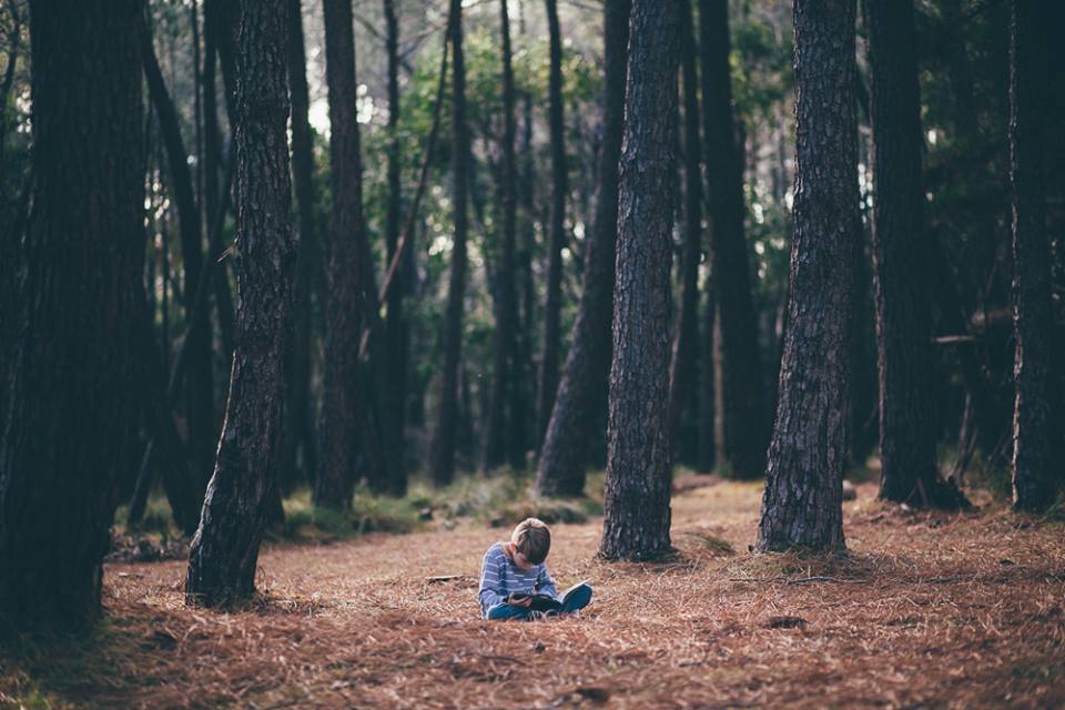 Nature Play SA Breathe Bell Tents Collaboration, taking play inside out. Explore. Nature. Australia. Camping. Tents. Canvas Tents