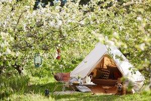 3m diameter Bell Tent, Glamping Breathe Bell Tent