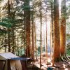 Family Camping