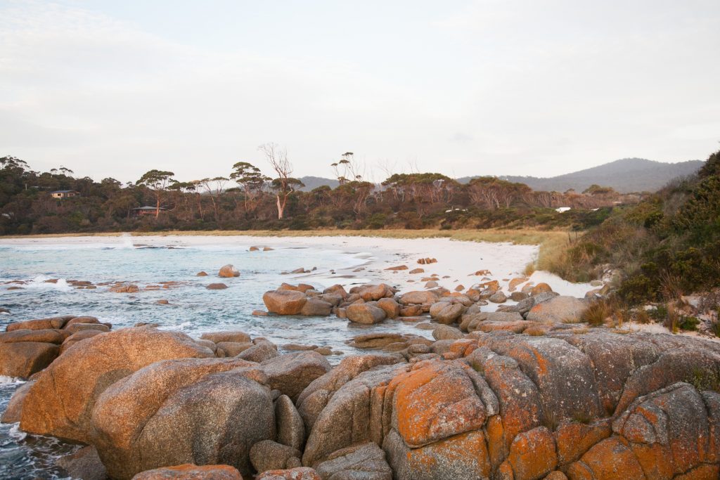 Bell tent adventure Explore Tasmania