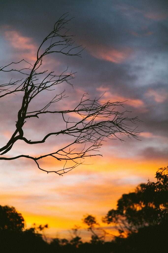 Sunset Tasmania Bell tent