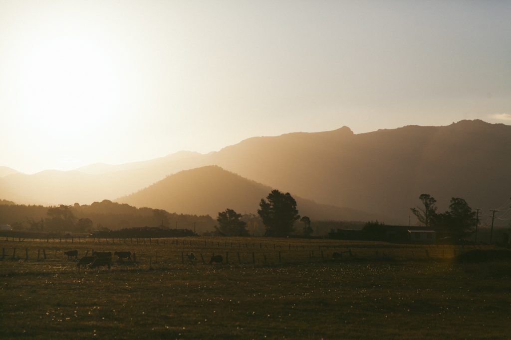 bell tent camping trip with bell tent australia