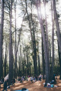 Nature Play SA Breathe Bell Tents Collaboration, taking play inside out. Explore. Nature. Australia. Camping. Tents. Canvas Tents