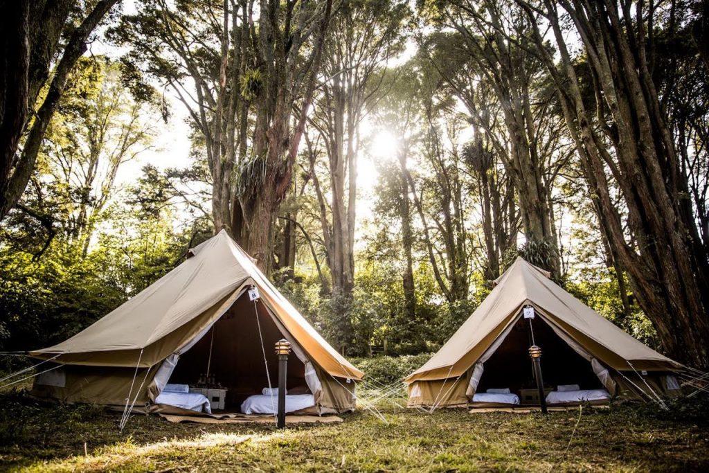 The perfect protection for your bell tent against sap, bird poop and anything else that might, mark, bleach or stain your bell tent. Ideal especially when using your bell tent for longer term use. The canvas is made from a washable 70D nylon which is waterproofed with a PU coating and fits every bell tent.